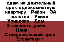 сдам на длительный срок однокомнатную квартиру › Район ­ ЗА полотно › Улица ­ Урицкого › Дом ­ 4 › Этажность дома ­ 2 › Цена ­ 10 000 - Ставропольский край, Ессентуки г. Недвижимость » Квартиры аренда   . Ставропольский край